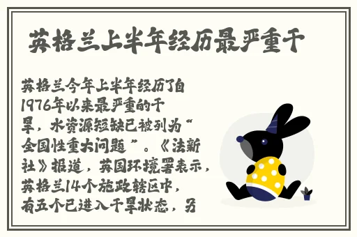 蘑菇网页版登录入口官网