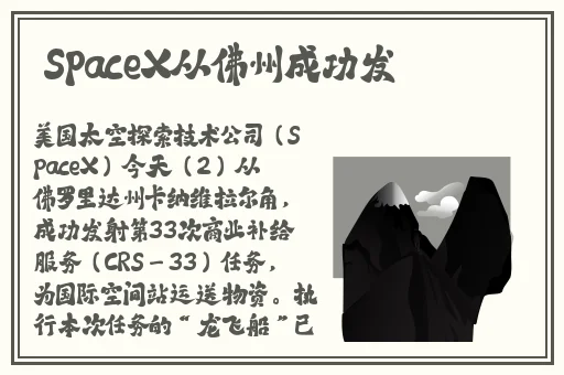 欧美成人精品视频在线播放