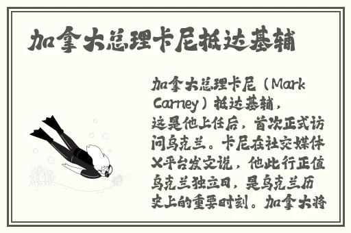 91久久国产最好的精华液